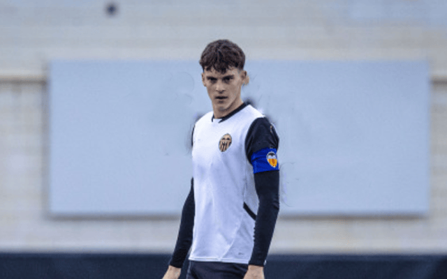 西甲:阿拉维斯保级压力巨大,巴伦西亚近期状态强势